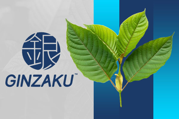 ginzaku-profil